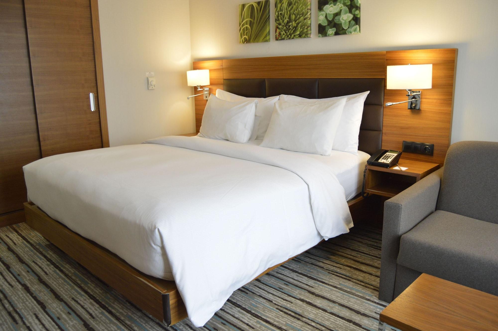 Hilton Garden Inn Ankara Gimat מראה חיצוני תמונה